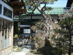 いろは食堂 本店 いろは食堂 本店