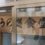 100年後に残したい名店vol.17